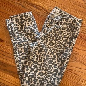 Loft Modern Skinny Jeans